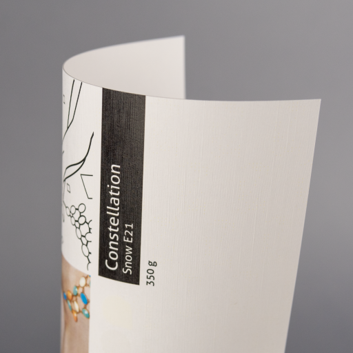 Constellation Snow E21, 350 g