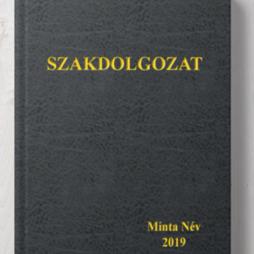 Szakdolgozat